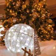 ヒメ日記 2025/11/24 22:20 投稿 小池涼子(こいけりょうこ) 五十路マダムエクスプレス厚木店(カサブランカグループ)