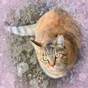 ヒメ日記 2025/11/25 09:36 投稿 小池涼子(こいけりょうこ) 五十路マダムエクスプレス厚木店(カサブランカグループ)