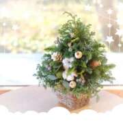 ヒメ日記 2025/11/26 07:58 投稿 小池涼子(こいけりょうこ) 五十路マダムエクスプレス厚木店(カサブランカグループ)