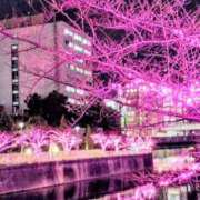 ヒメ日記 2025/12/08 19:20 投稿 小池涼子(こいけりょうこ) 五十路マダムエクスプレス厚木店(カサブランカグループ)