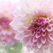 ヒメ日記 2026/01/21 07:00 投稿 小池涼子(こいけりょうこ) 五十路マダムエクスプレス厚木店(カサブランカグループ)