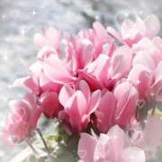 ヒメ日記 2026/02/06 06:20 投稿 小池涼子(こいけりょうこ) 五十路マダムエクスプレス厚木店(カサブランカグループ)