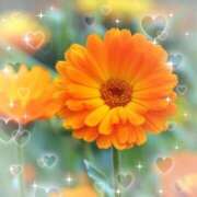 ヒメ日記 2026/02/10 06:20 投稿 小池涼子(こいけりょうこ) 五十路マダムエクスプレス厚木店(カサブランカグループ)