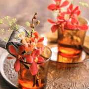 ヒメ日記 2026/02/12 07:12 投稿 小池涼子(こいけりょうこ) 五十路マダムエクスプレス厚木店(カサブランカグループ)