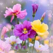 ヒメ日記 2026/02/20 06:50 投稿 小池涼子(こいけりょうこ) 五十路マダムエクスプレス厚木店(カサブランカグループ)