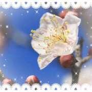 ヒメ日記 2026/02/21 06:54 投稿 小池涼子(こいけりょうこ) 五十路マダムエクスプレス厚木店(カサブランカグループ)