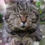 ヒメ日記 2026/02/22 07:44 投稿 小池涼子(こいけりょうこ) 五十路マダムエクスプレス厚木店(カサブランカグループ)