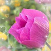 ヒメ日記 2026/03/01 07:52 投稿 小池涼子(こいけりょうこ) 五十路マダムエクスプレス厚木店(カサブランカグループ)