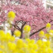 ヒメ日記 2026/03/02 08:22 投稿 小池涼子(こいけりょうこ) 五十路マダムエクスプレス厚木店(カサブランカグループ)