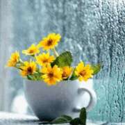 ヒメ日記 2026/03/10 07:54 投稿 小池涼子(こいけりょうこ) 五十路マダムエクスプレス厚木店(カサブランカグループ)