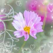 ヒメ日記 2026/03/24 05:52 投稿 小池涼子(こいけりょうこ) 五十路マダムエクスプレス厚木店(カサブランカグループ)