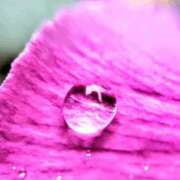 ヒメ日記 2026/03/26 08:14 投稿 小池涼子(こいけりょうこ) 五十路マダムエクスプレス厚木店(カサブランカグループ)