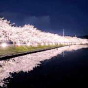 ヒメ日記 2026/04/03 07:48 投稿 小池涼子(こいけりょうこ) 五十路マダムエクスプレス厚木店(カサブランカグループ)