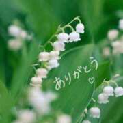 ヒメ日記 2026/04/23 14:10 投稿 小池涼子(こいけりょうこ) 五十路マダムエクスプレス厚木店(カサブランカグループ)