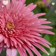 ヒメ日記 2026/05/12 19:04 投稿 小池涼子(こいけりょうこ) 五十路マダムエクスプレス厚木店(カサブランカグループ)