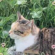 ヒメ日記 2026/05/19 06:20 投稿 小池涼子(こいけりょうこ) 五十路マダムエクスプレス厚木店(カサブランカグループ)