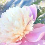 ヒメ日記 2026/05/30 06:48 投稿 小池涼子(こいけりょうこ) 五十路マダムエクスプレス厚木店(カサブランカグループ)