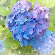 ヒメ日記 2026/06/04 06:24 投稿 小池涼子(こいけりょうこ) 五十路マダムエクスプレス厚木店(カサブランカグループ)