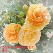 ヒメ日記 2026/06/07 17:12 投稿 小池涼子(こいけりょうこ) 五十路マダムエクスプレス厚木店(カサブランカグループ)