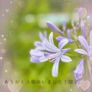 ヒメ日記 2026/06/21 21:24 投稿 小池涼子(こいけりょうこ) 五十路マダムエクスプレス厚木店(カサブランカグループ)