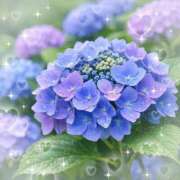ヒメ日記 2026/06/28 07:32 投稿 小池涼子(こいけりょうこ) 五十路マダムエクスプレス厚木店(カサブランカグループ)