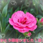 ヒメ日記 2026/07/09 15:18 投稿 小池涼子(こいけりょうこ) 五十路マダムエクスプレス厚木店(カサブランカグループ)