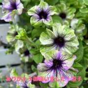ヒメ日記 2026/07/29 15:40 投稿 小池涼子(こいけりょうこ) 五十路マダムエクスプレス厚木店(カサブランカグループ)