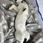 ヒメ日記 2025/08/29 12:54 投稿 くじら 熟女の風俗最終章 仙台店