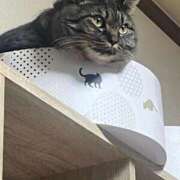 ヒメ日記 2025/12/26 15:26 投稿 くじら 熟女の風俗最終章 仙台店