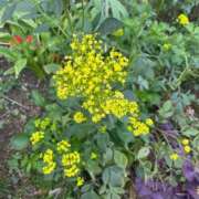 なつ◆魅力は無限大♪ ありがとうございます♡ エピソード倉敷