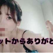 ヒメ日記 2025/08/16 16:30 投稿 鈴木　せいら ミセスサマンサPLUS