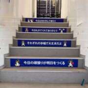 ヒメ日記 2026/02/24 23:55 投稿 あいす 奥鉄オクテツ神奈川店（デリヘル市場グループ）