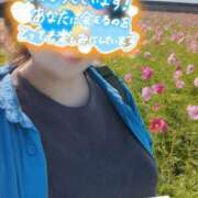 ヒメ日記 2025/11/05 07:06 投稿 古川 あおい こあくまな人妻・熟女たち山口店（KOAKUMAグループ）