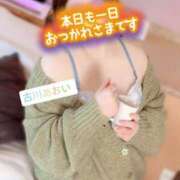 ヒメ日記 2025/11/25 22:29 投稿 古川 あおい こあくまな人妻・熟女たち山口店（KOAKUMAグループ）