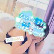 ヒメ日記 2026/07/04 08:04 投稿 古川 あおい こあくまな人妻・熟女たち山口店（KOAKUMAグループ）