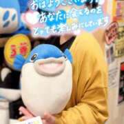 ヒメ日記 2026/07/12 07:37 投稿 古川 あおい こあくまな人妻・熟女たち山口店（KOAKUMAグループ）