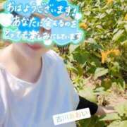 ヒメ日記 2026/07/28 07:23 投稿 古川 あおい こあくまな人妻・熟女たち山口店（KOAKUMAグループ）