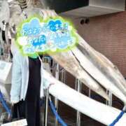 ヒメ日記 2026/08/24 07:27 投稿 古川 あおい こあくまな人妻・熟女たち山口店（KOAKUMAグループ）