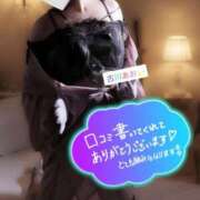 ヒメ日記 2026/08/28 21:51 投稿 古川 あおい こあくまな人妻・熟女たち山口店（KOAKUMAグループ）