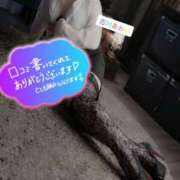 ヒメ日記 2026/10/07 20:52 投稿 古川 あおい こあくまな人妻・熟女たち山口店（KOAKUMAグループ）