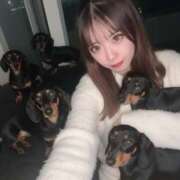 ヒメ日記 2026/01/13 04:15 投稿 ねいろ☆Hカップ愛嬌神娘☆ アネキャンモード