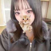 ヒメ日記 2026/02/16 22:02 投稿 ねいろ☆Hカップ愛嬌神娘☆ アネキャンモード