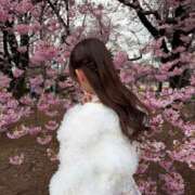 ヒメ日記 2026/03/29 15:49 投稿 らみ★美乳×美肌初心な甘えん坊 S級素人清楚系デリヘル chloe
