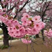 ヒメ日記 2026/03/23 21:46 投稿 らみ★美乳×美肌初心な甘えん坊 Chloe五反田本店　S級素人清楚系デリヘル