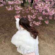 ヒメ日記 2026/03/24 23:02 投稿 らみ★美乳×美肌初心な甘えん坊 Chloe五反田本店　S級素人清楚系デリヘル