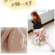 ヒメ日記 2025/09/22 14:35 投稿 ひなこ 性腺熟女100％鶯谷（デリヘル市場）