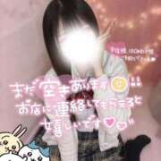 ヒメ日記 2025/11/09 12:39 投稿 糸師 つむぎ しゃせきょっ!XX教育される制服女子たち