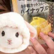 ヒメ日記 2025/08/15 21:06 投稿 もね 白いぽっちゃりさん五反田店