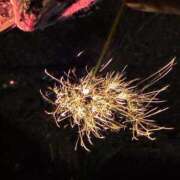 ヒメ日記 2025/08/16 12:09 投稿 もね 白いぽっちゃりさん五反田店