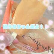 ヒメ日記 2025/08/19 13:19 投稿 もね 白いぽっちゃりさん五反田店